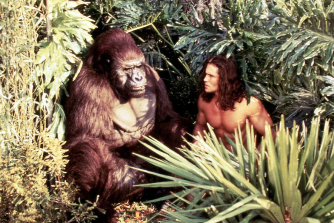 Tarzan nie żyje! Joe Lara zginął w katastrofie lotniczej