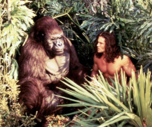 Tarzan nie żyje! Joe Lara zginął w katastrofie lotniczej
