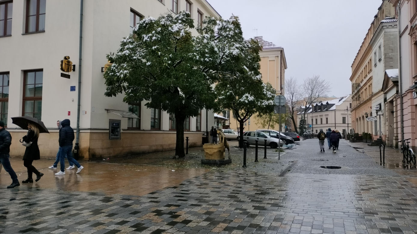Pierwszy śnieg w tym sezonie! Lublin jest ukryty pod zimową pierzynką 