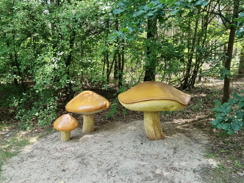 Park grzbowy