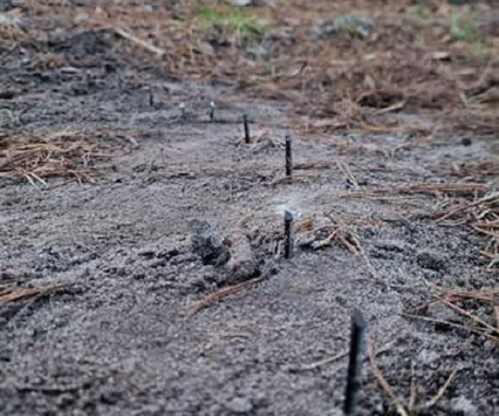 Niebezpieczna pułapka na drodze