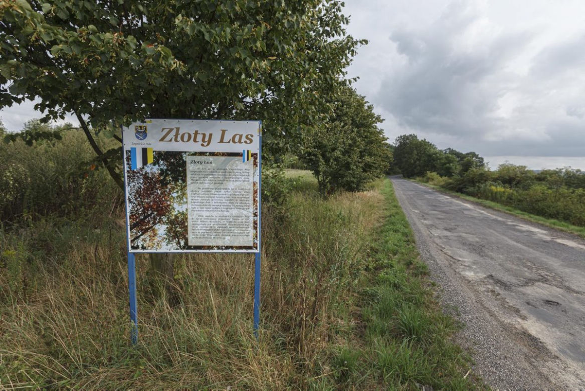 Mikołajowice. Mieszkamy na żyle złota