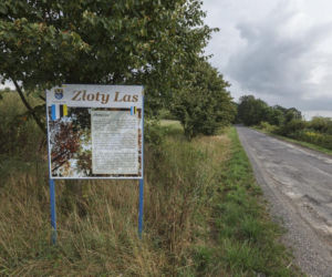 Mikołajowice. Mieszkamy na żyle złota