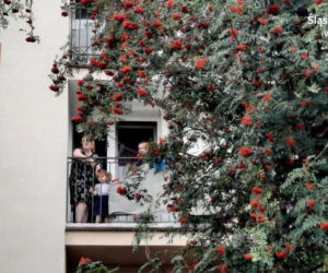 Piękny gest policjantów ze Śląska. Urodzinowa niespodzianka dla małej Madzi 