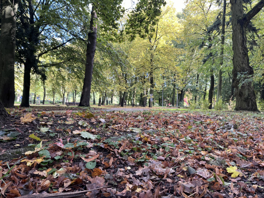 Park Kopernika w Gorzowie w jesiennej scenerii