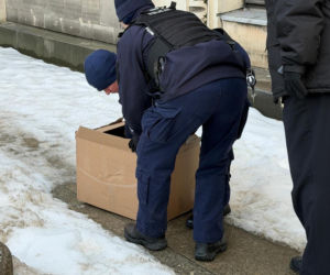 Nie żyje Giga - samica sokoła wędrownego związana z Pałacem Kultury i Nauki