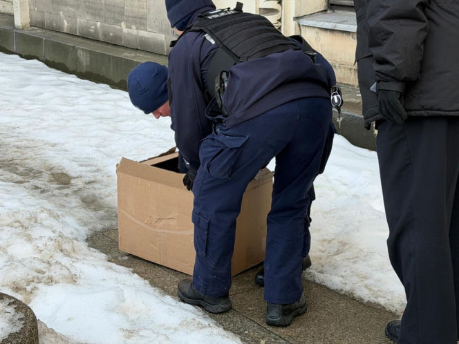 Nie żyje Giga - samica sokoła wędrownego związana z Pałacem Kultury i Nauki