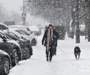 Gołoledź paraliżuje Polskę