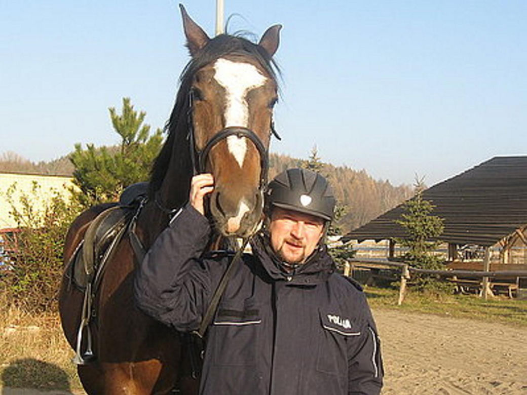 Policjanci walczą o emeryturę dla... konia. Blue Baker przez 12 lat służył w konnym oddziale policji 