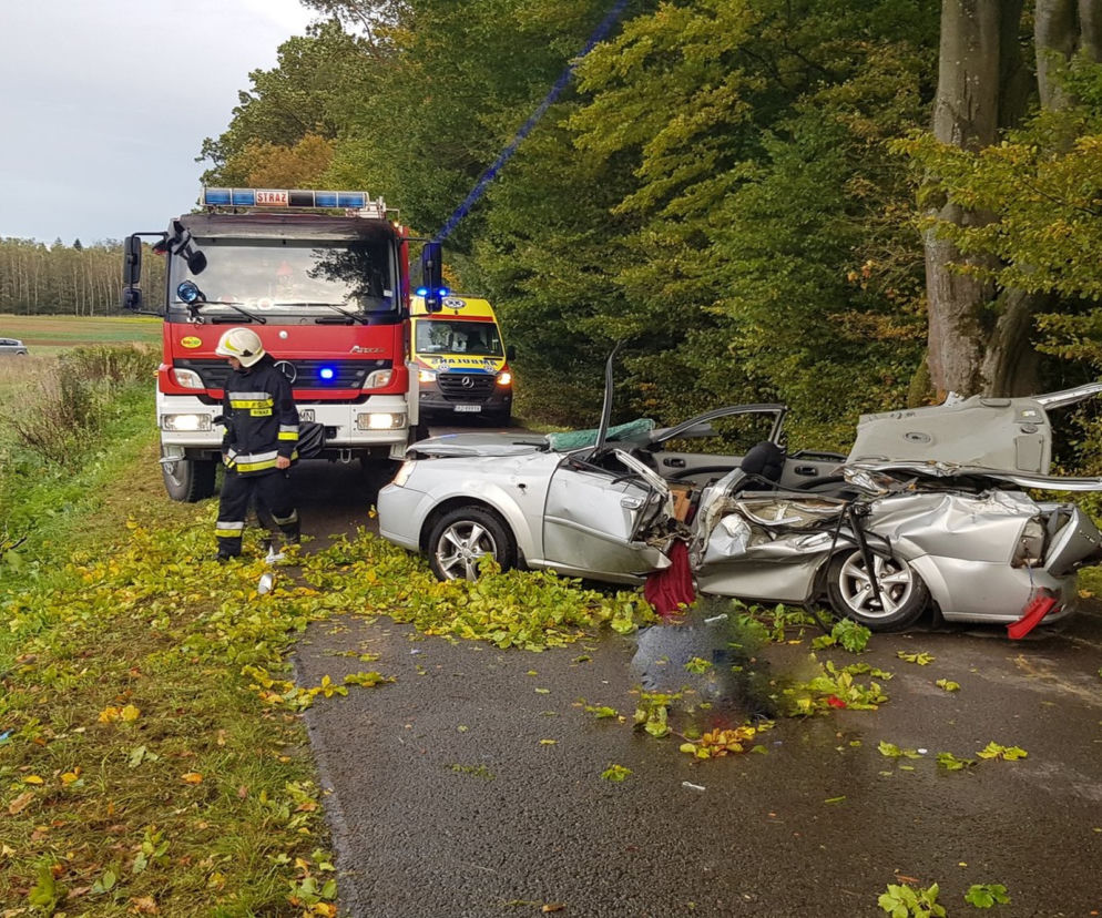 Tragiczny wypadek w Nowym Narcie. Drzewo runęło na samochód