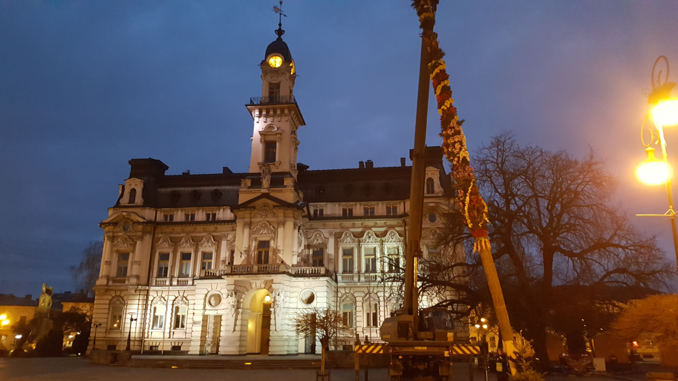 Gigantyczna palma wielkanocna  w Nowym Sączu