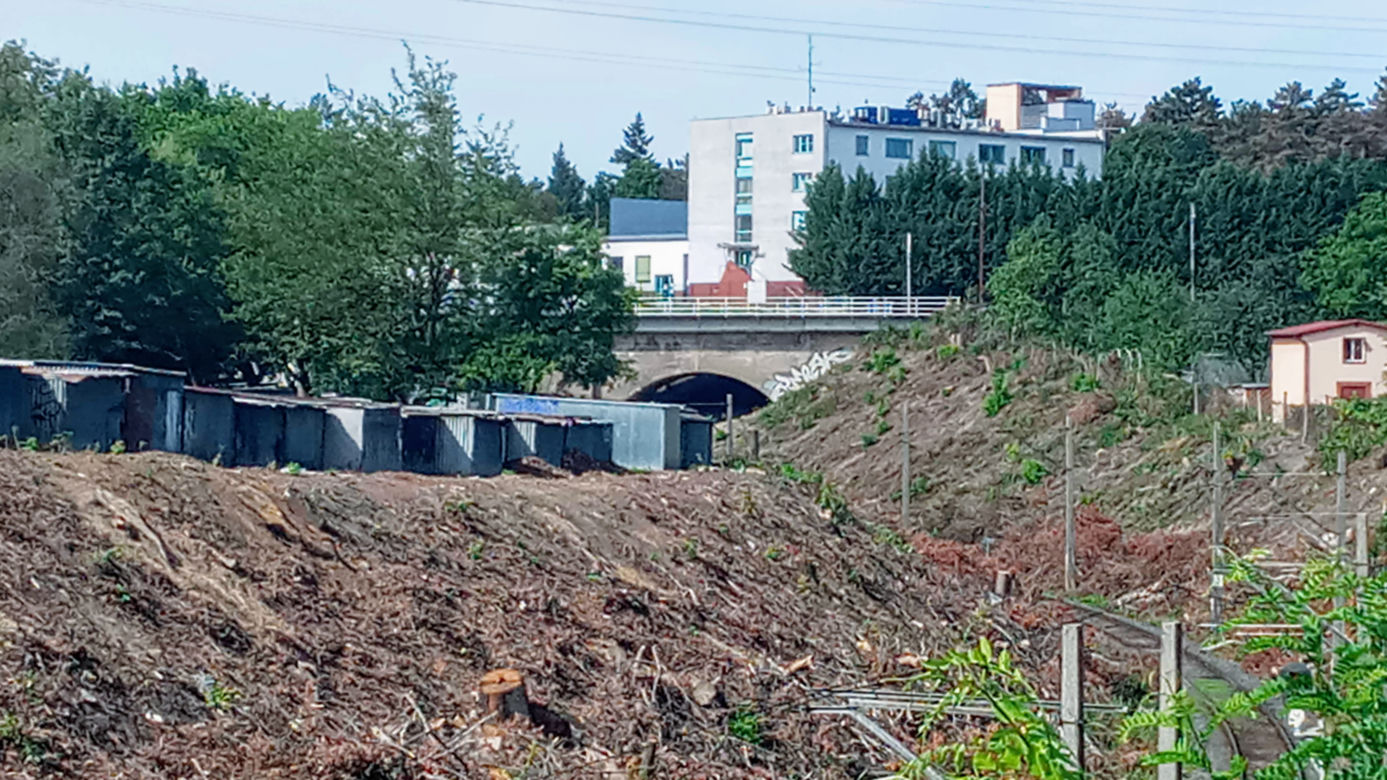 Wycinka drzew na stacji Szczecin Pomorzany