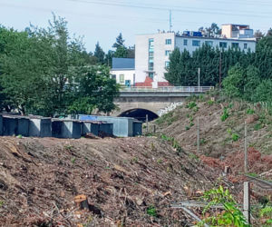 Wycinka drzew na stacji Szczecin Pomorzany