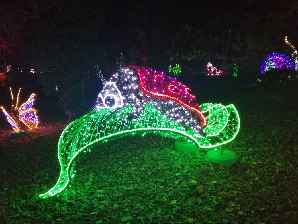 Park Iluminacji w Poznaniu