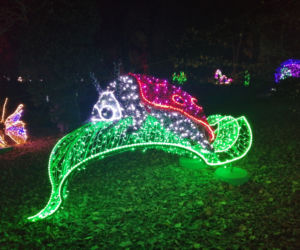 Park Iluminacji w Poznaniu
