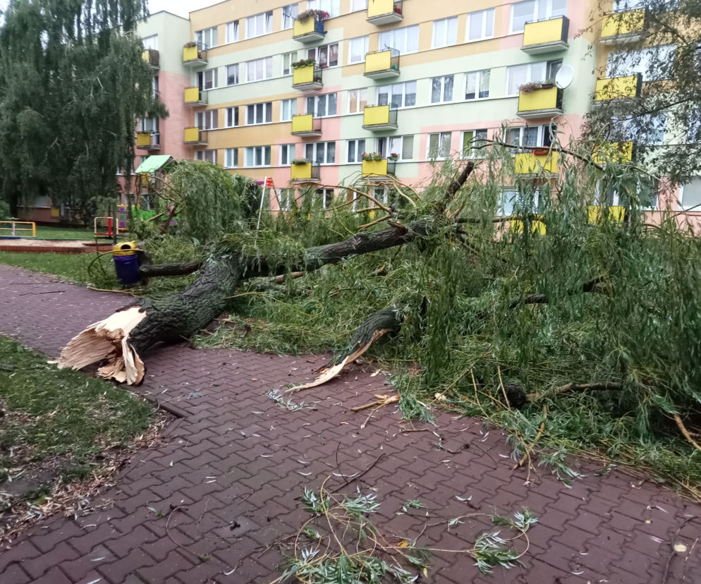Przez Lublin przeszła potężna nawałnica. Trwa usuwanie skutków