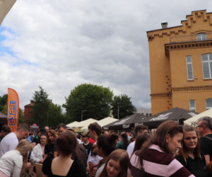 Zlot jamników w Toruniu. Mamy zdjęcia psiaków, właścicieli i fanów czworonogów