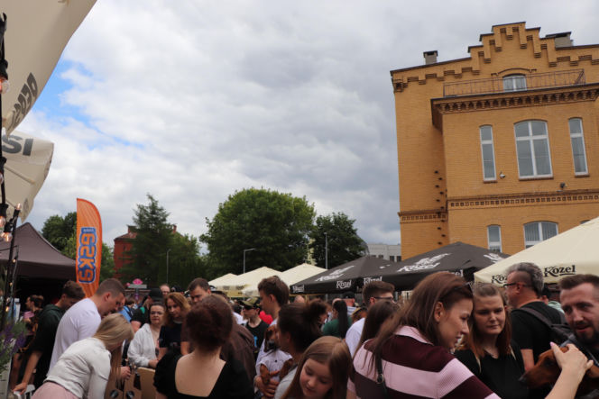 Zlot jamników w Toruniu. Mamy zdjęcia psiaków, właścicieli i fanów czworonogów