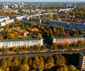 Serek żoliborski w Warszawie