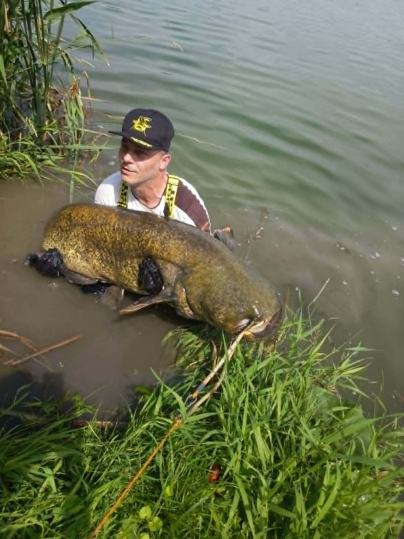 Złowił w Starym Sączu ponad 230 cm suma