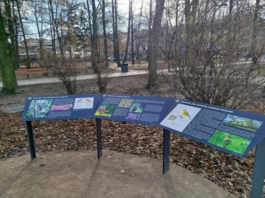 Plac Jagielloński