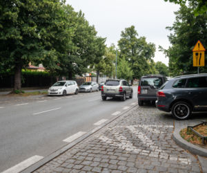 Francuska będzie zielona