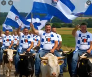 Odpalili AI przeciwko Unii. Strach w Zielonej Górze?