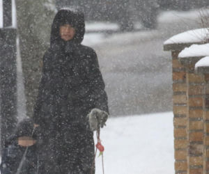 Marta Kaczyńska z synem i psami na sankach w lesie