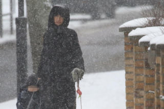 Marta Kaczyńska z synem i psami na sankach w lesie