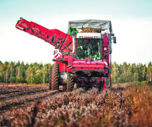 Agro - CN Nidzica