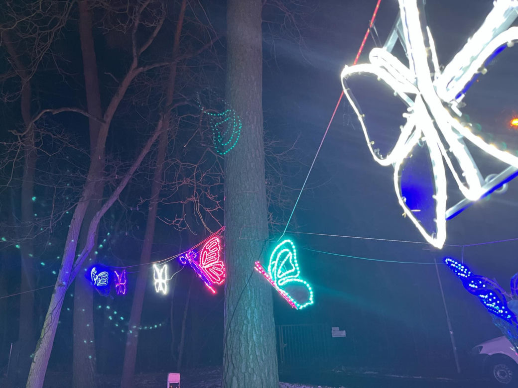Garden of Lights w Szczecinie