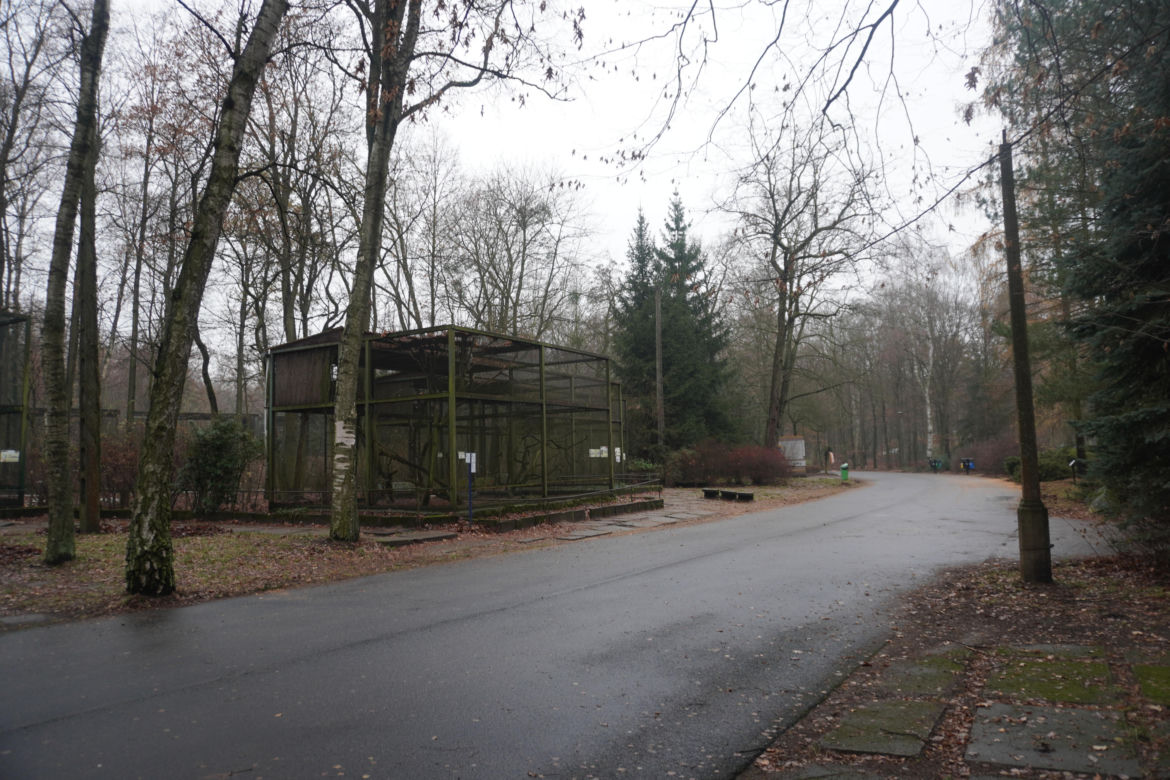 Zoo w Poznaniu zimą