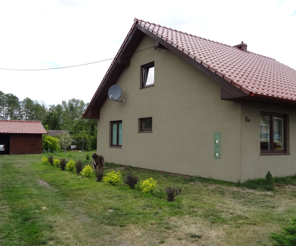 WYROK NA POTWORA 01 DD