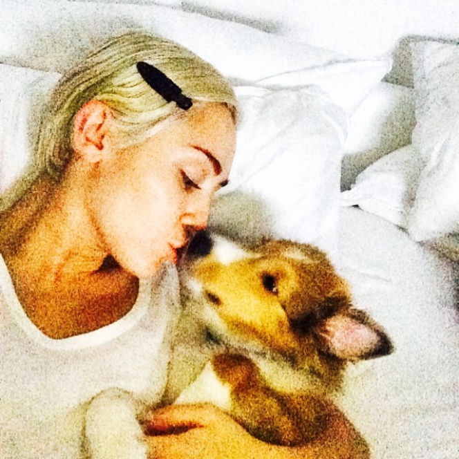 Miley Cyrus chwali się nową fryzurą i dziwnym tatuażem!