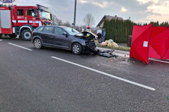 Mężczyzna zginął na miejscu. Tragiczny wypadek na DK 74