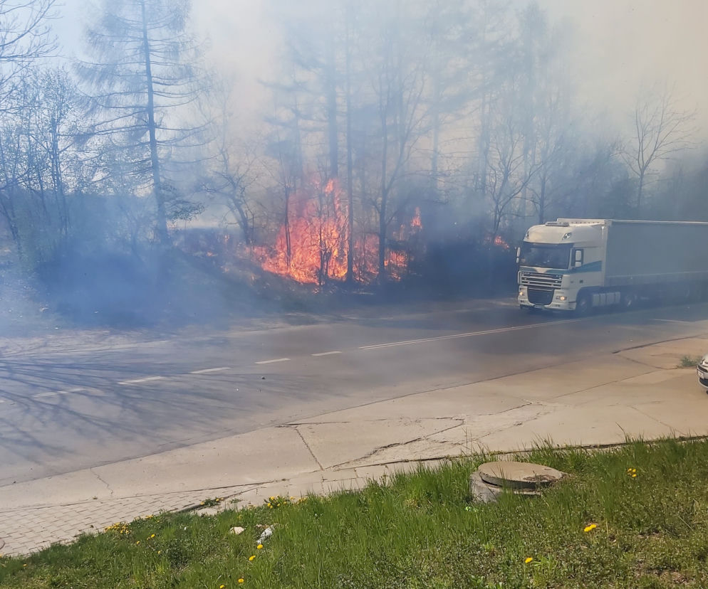 Duży pożar traw na Wzgórzach Krzesławickich
