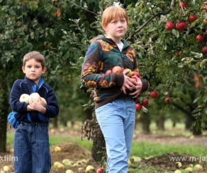 M jak miłość Ula (Iga Krefft), Mateusz (Krystian Domagała)