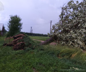 Burze i wichury w Podlaskiem. Tysiące ludzi zostało bez prądu! [ZDJĘCIA]