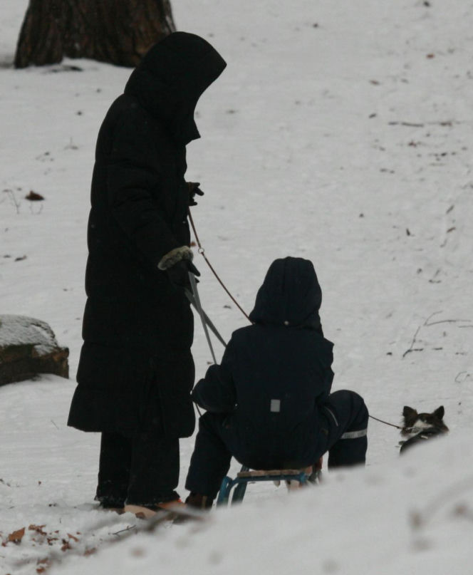 Marta Kaczyńska z synem i psami na sankach w lesie