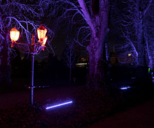 Bajkowe iluminacje w Ogrodzie Botanicznym we Wrocławiu