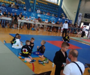 Potrójna Korona BJJ
