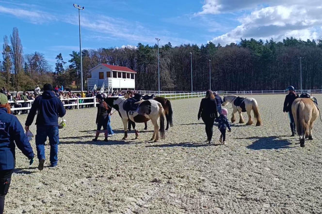 Konna święconka w Szczecinie