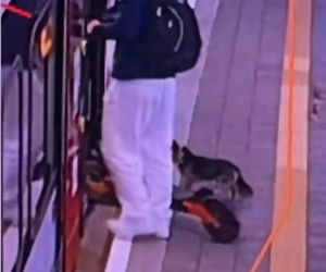 Sam wsiadł do pociągu i pojechał na gapę. Przechadzał się po wagonie i odwiedzał pasażerów