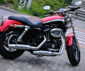 Harley-Davidson Sportster 1200 Custon CA