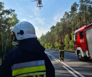 Tragiczny wypadek w Niedźwiedziu. Nie żyje 14-letni chłopiec. Wracał z rodzicami z wycieczki