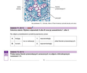 Matura 2026 z biologii ROZSZERZONEJ: arkusze CKE, poziom podstawowy [Formuła 2023] 08.05.2026