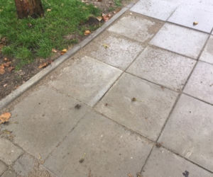 Ten chodnik powstał w jedną noc! Zdenerwowani mieszkańcy wzięli sprawy w swoje ręce