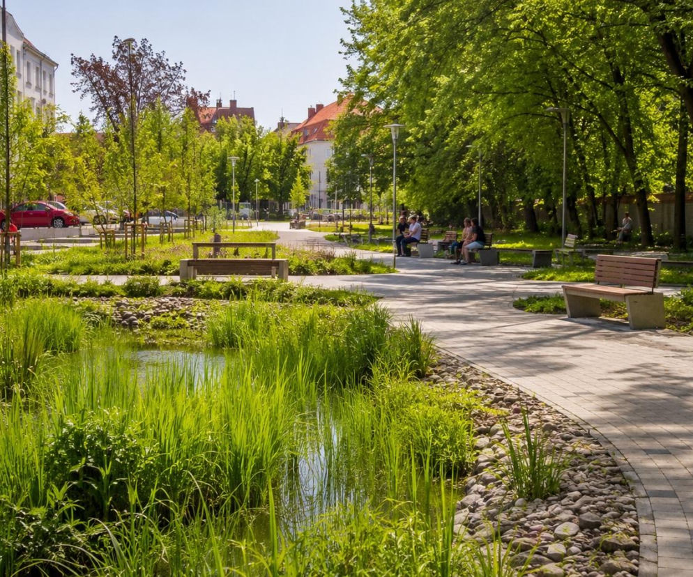 Zielona retencja