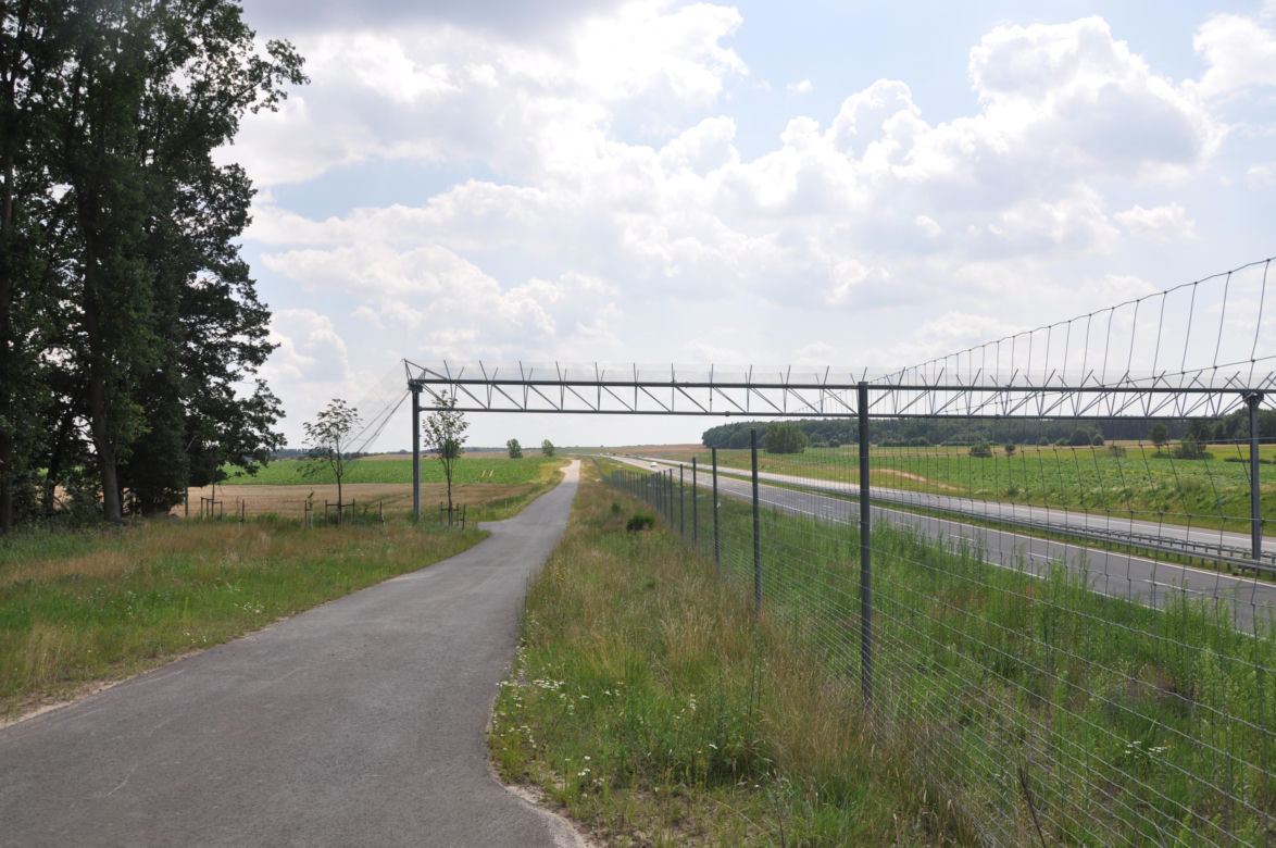 Wielkie kraty nad polskimi drogami. Do czego służą?