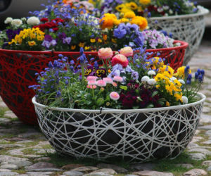 Wiosenne kompozycje kwiatowe, które odmienią dom i balkon!
